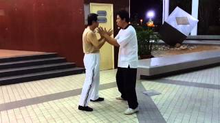 太極拳推手發勁研究：趙堡太極拳發勁研究中心、Zhao Bao Tai Chi Master Chong Meng Kai