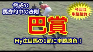 【巴賞】脅威の馬券的中の法則【競馬予想】