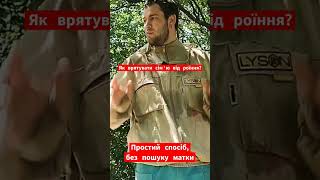 Рятуємо сім'ю від роїння. Простий спосіб, без пошуку матки. Перевірив особисто. #бджоли #пасіка #мед