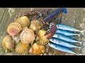 Fishing, Incredible Underwater footage and Cooking - THIS VIDEO HAS IT ALL!!! | The Fish Locker