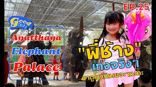 ชมโชว์ช้าง!! แสนรู้ ที่วังช้างอยุธยา แล เพนียด  - Good Trips EP. 25 #วังช้างอยุธยา