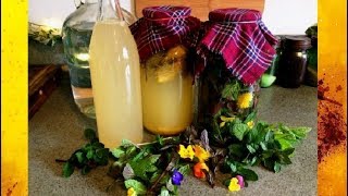 Vinegar Making: Mint Dandelion Pansy