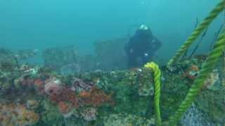 Diving the Ruby E in San Diego Mar. 17,2013