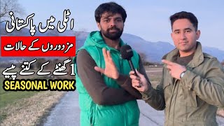 Agriculture Work In Italy | Seasonal Visa job | Pakistani In Italy