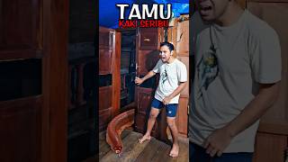 Apa❗Tamu Ulat Kaki Seribu❗Begini Cara Buatnya❗#editing #tutorial