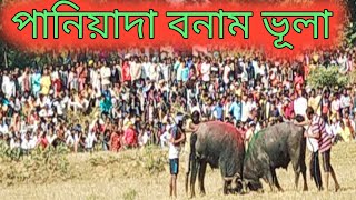 পানিয়াদা কাড়া হারিলেন ভূলা গ্রামে।। সন্তোষ মাহাত সাথে।।।।