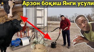 ЯНГИЧА УСЛУБДА  ЭНДИ ХАЙВОННИ АРЗОН БОҚАСИЗ !!!