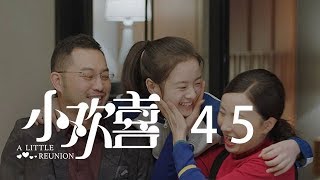 小歡喜 45 | A Little Reunion 45（黃磊、海清、陶虹等主演）