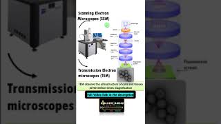 What is an Electron Microscope? Difference between SEM and TEM