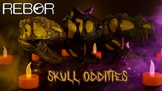 REBOR Skull Oddity Collection Review - Carnotaurus, Yutyrannus, and Ceratosaurus!