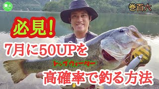 ７月に50UPを高確率で釣る方法