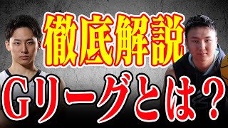 【徹底解説】NBA Gリーグってどんなリーグ？