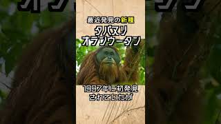 最近発見された新種 3選 2015年,2017年,2015年  #動物 #雑学