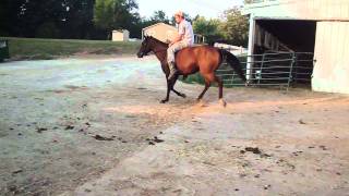M4H04722.MP4