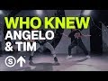 ANGELO ADMANA & TIM TAMAYO | 