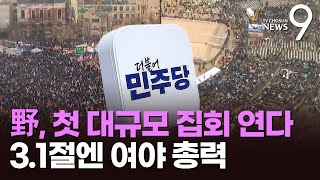 野, 22일 헌재 인근서 대규모 '尹파면' 촉구 집회…'탄핵반대' 대전 집회엔 與 장동혁 참석 [뉴스9]