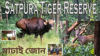 Satpura Tiger Reserve সাতপূরা টাইগার রিজার্ভ