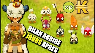 DOFUS AGRIDE 2020| BILAN 7 JOURS APRES : TEAM DE 8 (Level,Kamas,Stuff) #9