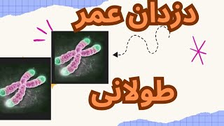 چطور میتوان دزدان عمر طولانی را شناخت؟آیا ماده غذایی هست که به عمر ما اضافه  کند؟