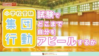 小学校受験・集団行動 試験でどこまで自分をアピールするか【受験準備/集団行動対策】