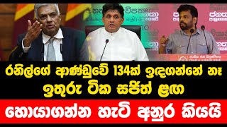 රනිල්ගේ ආණ්ඩුවේ 134ක් ඉඳගන්නේ නෑ... ඉතුරු ටික සජිත් ළඟ... හොයාගන්න හැටි අනුර කියයි...