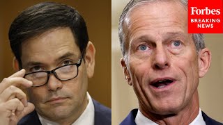 John Thune Praises Marco Rubio, Says He Will Fill The 'Leadership Void' Left By Biden Admin