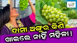 'Japanese Ruby Roman' Grape Bunch Price Rs 9,000 | World's Most Expensive Grape | Ruby Roman Grape