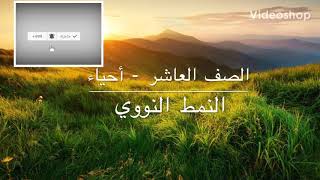 النمط النووي - صف عاشر -احياء