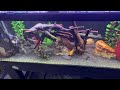 hygger aquarium light unboxing u0026 review