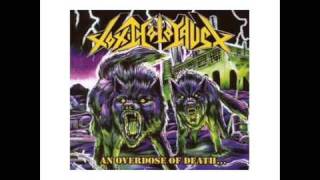 TOXIC HOLOCAUST - Endless Armageddon