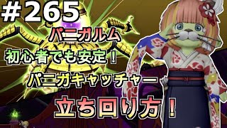 【ドラクエ１０】Part２６５　初心者でも安定！　パニガキャッチャー　立ち回り方！【パニガルム】