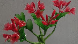 hướng dẫn làm hoa sứ đỏ bằng vải voan/ frangipani flower ( plumeria flower )