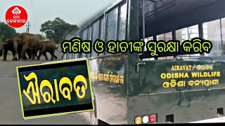 ମଣିଷ ଓ ହାତୀଙ୍କ ସୁରକ୍ଷା କରିବ ଐରାବତ || ସ୍ୱତନ୍ତ୍ର ରିପୋର୍ଟ || ମୋ ଢେଙ୍କାନାଳ