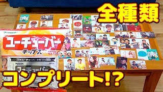 【全種類】全63種コンプリート！ユーチューバーチップス開封してみた【YouTuberチップス】