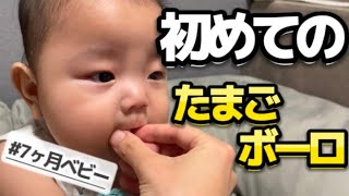 7ヶ月で初めてたまごボーロを食べた息子の反応🐣