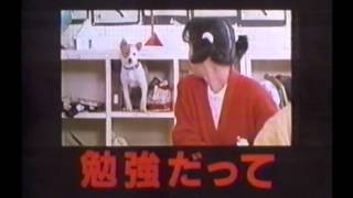 1986年 『ドン松五郎の生活』予告編