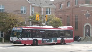 TTC 31 Greenwood Bus Ride #8432 from Queen East to Coxwell Stn (October 3rd, 2024)