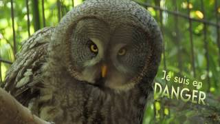 Ménagerie du Jardin des Plantes