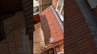 Satisfying Red Roof Clean #jetwashing #roofwashing #satisfying #exteriorclean