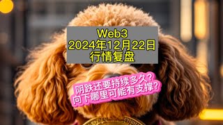 币需研究院2024年12月22日加密货币行情复盘分析