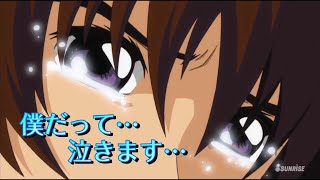 【ガンダムSEED＆Destiny】キラ・ヤマト  泣き集 SEED編