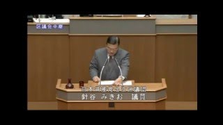 平成27年12月4日針谷みきお議員一般質問より