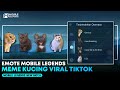 Do you want to? | Emote Mobile Legends TikTok Viral Cat Meme