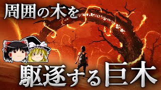 生存戦略として、森を焼き尽くす道を選んだ世界最大級の巨木  〜ジャイアントセコイア〜【ゆっくり科学】