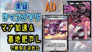 【デュエプレ】墓地肥やしが噛み合う！？黒緑シャングリラ【AD】