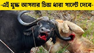 বন্য মহিষের আক্রমণ এতটা বিপদজনক কেন হয় | WHY WILD BUFFALO ATTACK IS SO DANGEROUS ?