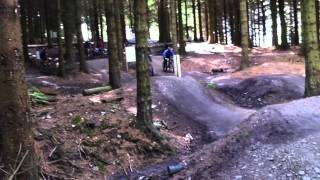 Stumpy riding at Llandegla skills course held by One Planet Adventure -- Neil Donoghue