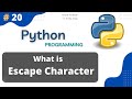 Escape Characters in Python || Escape Sequence ||  Python Tutorial Part #20
