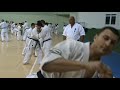 dimitar s. popov sensei kicks shinkyokushin karate