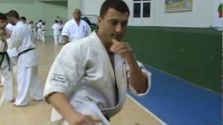 Dimitar S. Popov Sensei kicks - Shinkyokushin karate